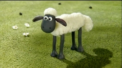 بره ناقلا (بادبادک)